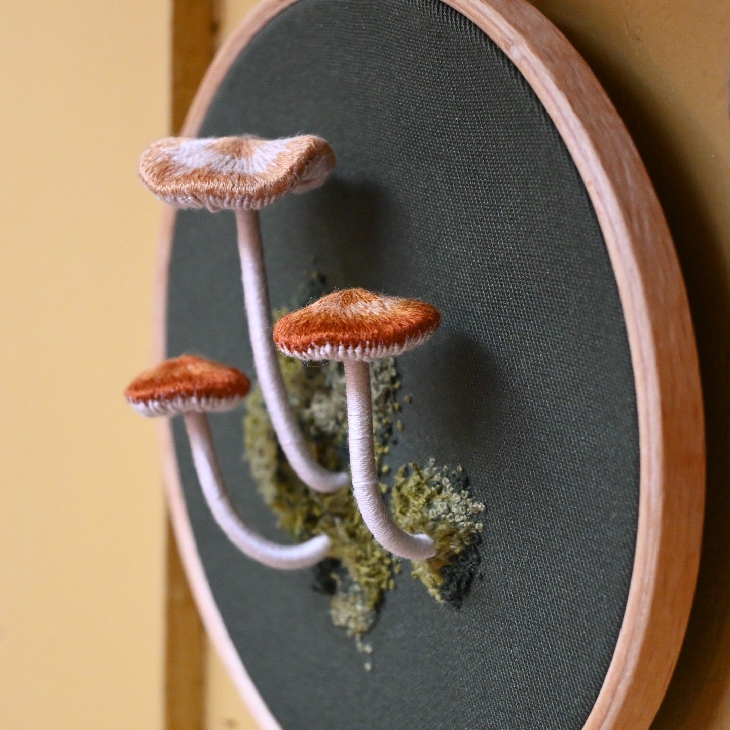 The Fairy Ring