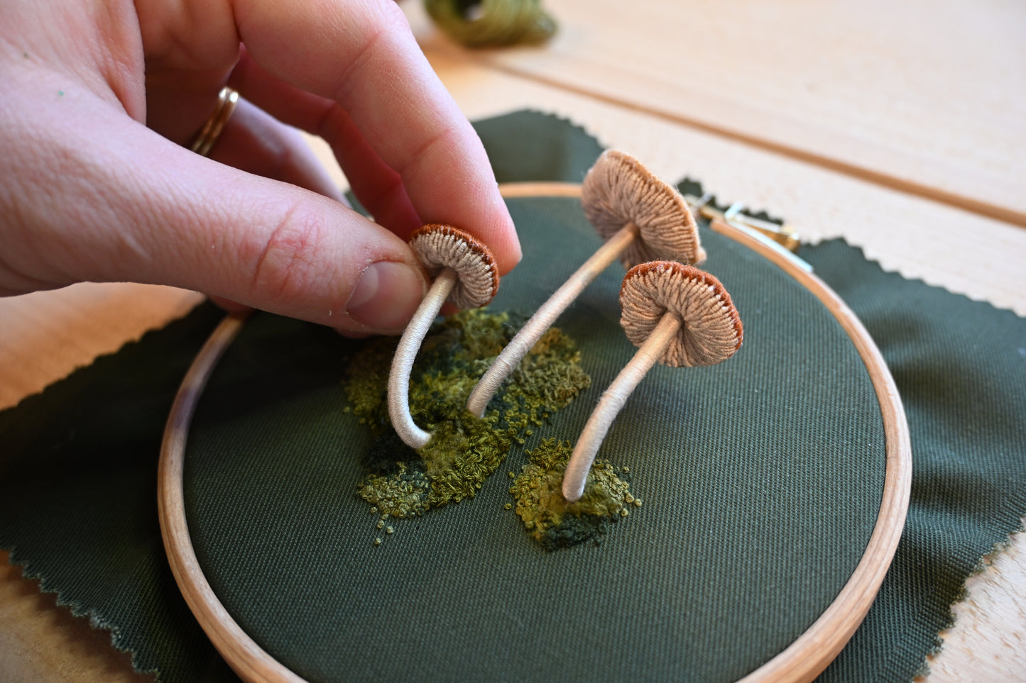 The Fairy Ring