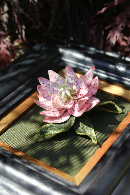 "The Hellebore" - 2023