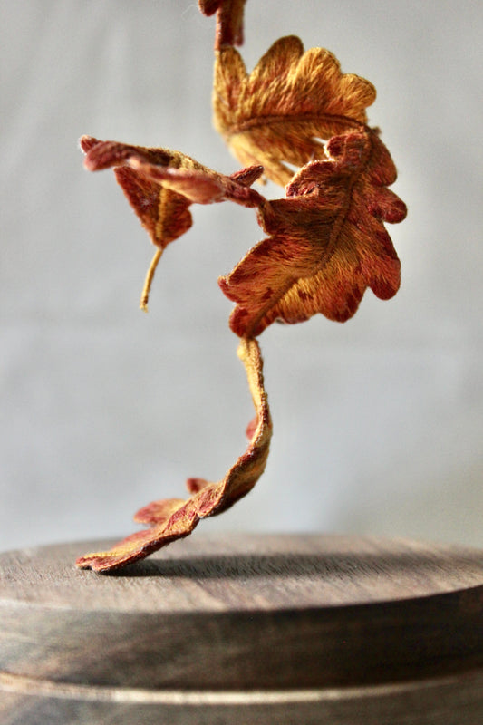 Autumns Dance - 2022