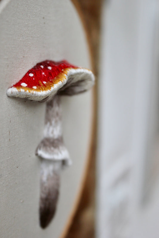 Fly Agaric Kit PDF