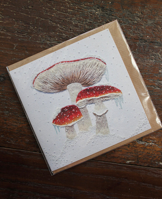 Mushroom Christmas Card