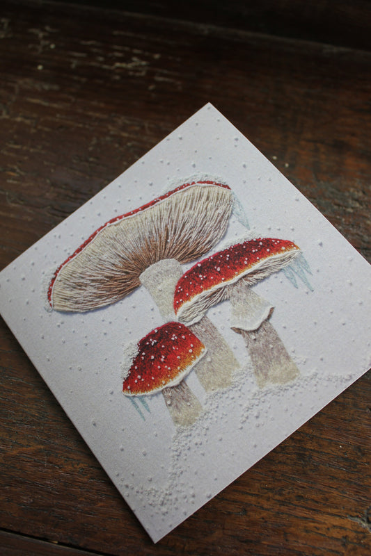 Mushroom Christmas Card