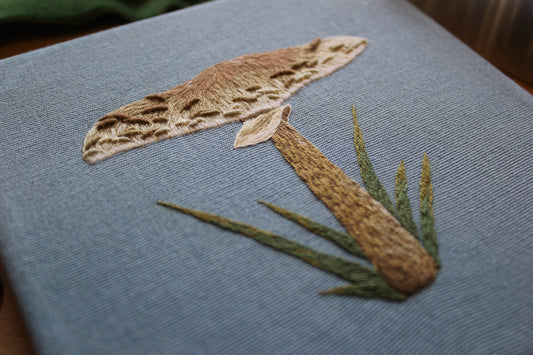 Parasol Mushroom Canvas