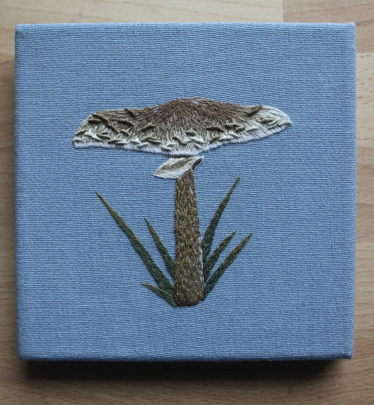 Parasol Mushroom Canvas