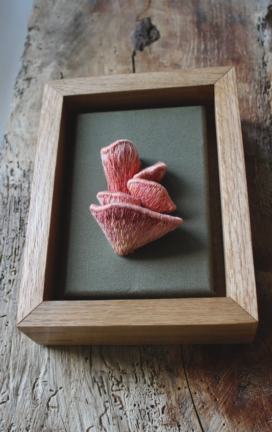 "Pleurotus Djamor" - Pink Oyster Mushrooms Study II, 2020