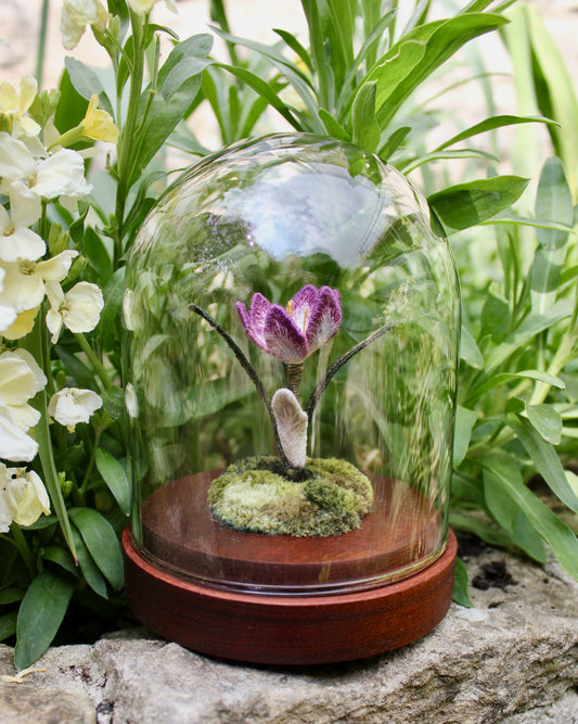 ‘The Crocus’ - 2022