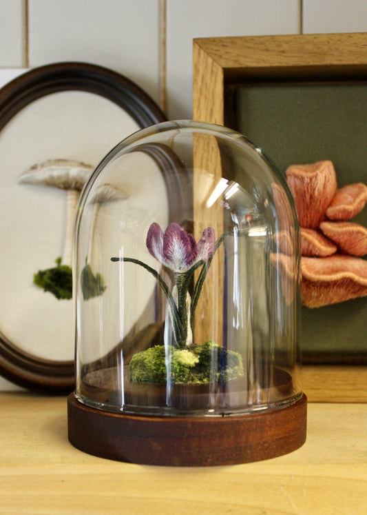 ‘The Crocus’ - 2022